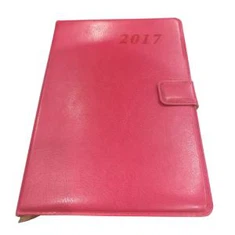 Máy tính cá nhân hàng ngày 250 trang Nhật ký Máy tính xách tay với Bộ phân chia Chỉ mục